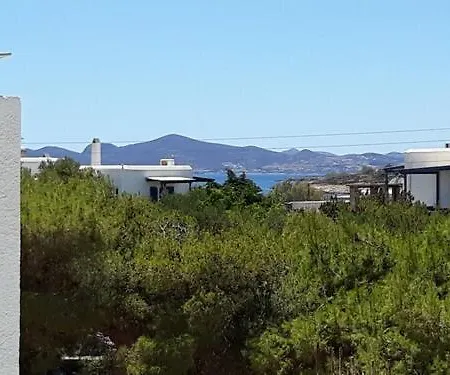 Διαμέρισμα Holidays In Paros