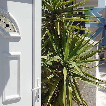 Holidays In Paros Αλυκή