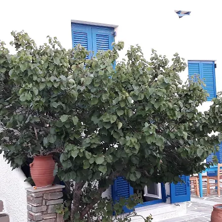 Holidays In Paros *